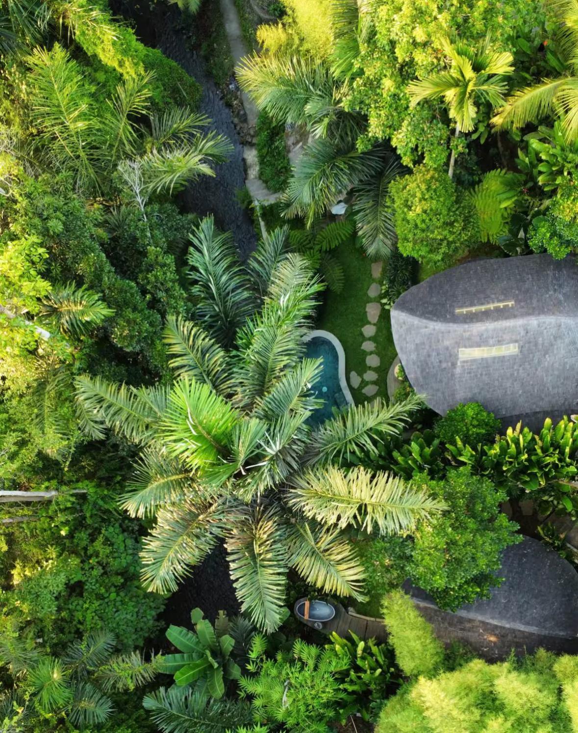 Vila Wahem Eco Bamboo - Magical Bamboo House Ubud Exteriér fotografie